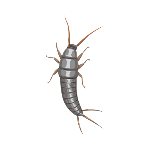 Parasitnix Frechen - Kammerjäger - Schädlingsbekämpfung - Wespenbekämpfung, Ameisenbekämpfung, Rattenbekämpfung - Frechen