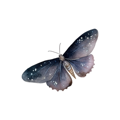 Parasitnix Frechen - Kammerjäger - Schädlingsbekämpfung - Wespenbekämpfung, Ameisenbekämpfung, Rattenbekämpfung - Frechen