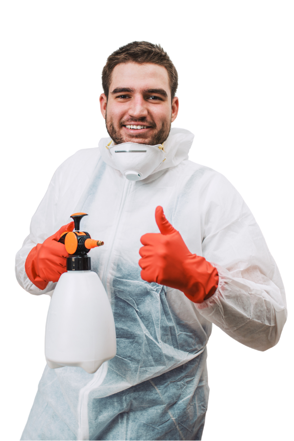 Parasitnix Frechen - Kammerjäger - Schädlingsbekämpfung - Wespenbekämpfung, Ameisenbekämpfung, Rattenbekämpfung - Frechen